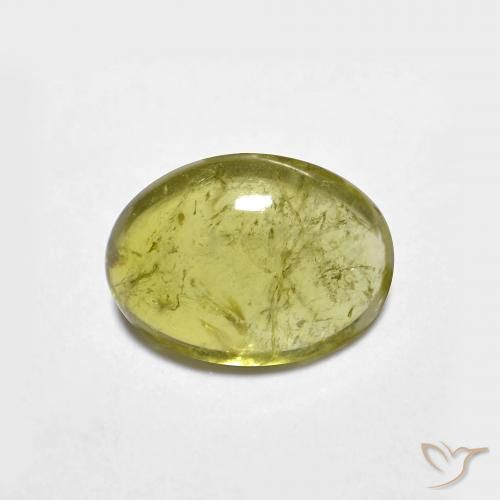 1.53ct طبيعي اخضر فاتح تورمالين, بيضوي, شفاف