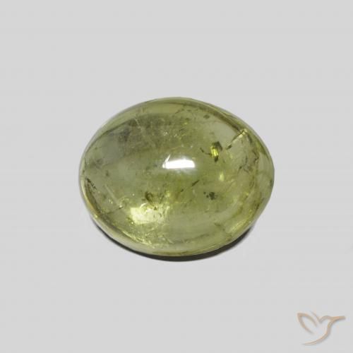 3.89ct طبيعي اخضر فاتح تورمالين, بيضوي, شفاف