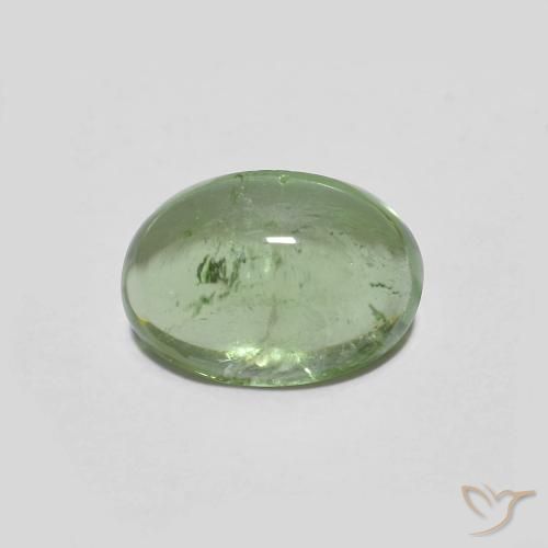 1.43ct طبيعي اخضر فاتح تورمالين, بيضوي, شفاف