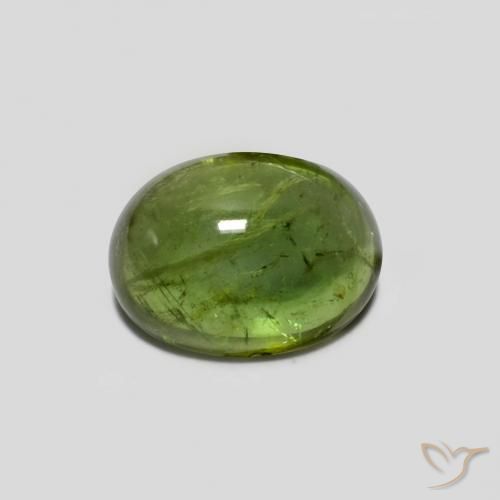 1.41ct طبيعي أخضر متوسط تورمالين, بيضوي, شفاف