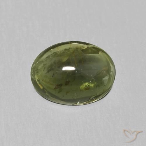 1.13ct طبيعي أخضر الغابات تورمالين, بيضوي, شفاف