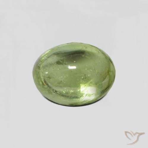 2.24ct طبيعي أخضر الغابات تورمالين, بيضوي, شفاف