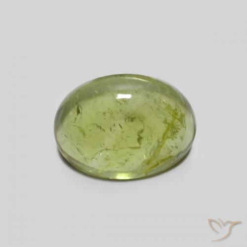 1.44ct طبيعي أخضر زيتوني تورمالين, بيضوي, شفاف