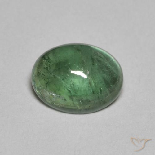 1.28ct طبيعي اخضر فاتح تورمالين, بيضوي, شفاف
