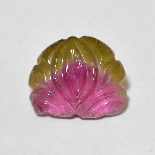3.93ct طبيعي ثنائية اللون تورمالين, فانسى, شفاف