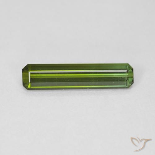 1.47ct طبيعي أخضر الغابات تورمالين, قص الزمرد, VVS