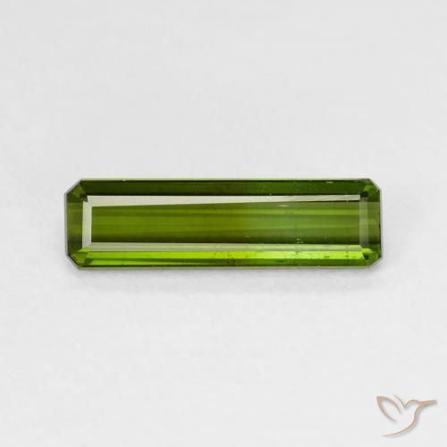 1.52ct طبيعي أخضر ترابى تورمالين, قص الزمرد, قليلا جدا