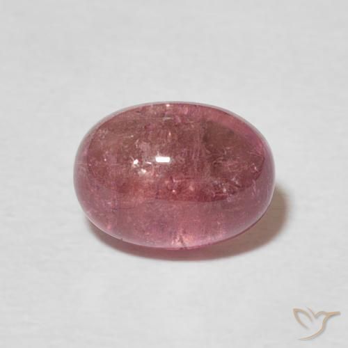 1.69ct طبيعي وردى برتقالى تورمالين, بيضوي, شفاف