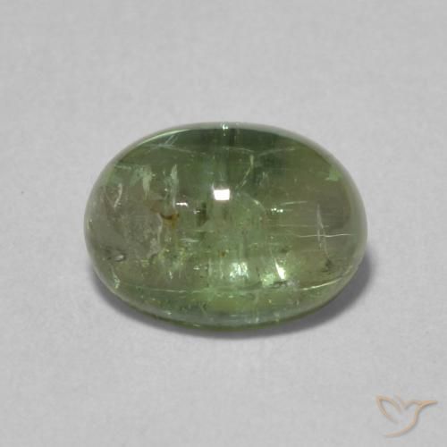 1.52ct طبيعي أخضر متوسط تورمالين, بيضوي, شفاف