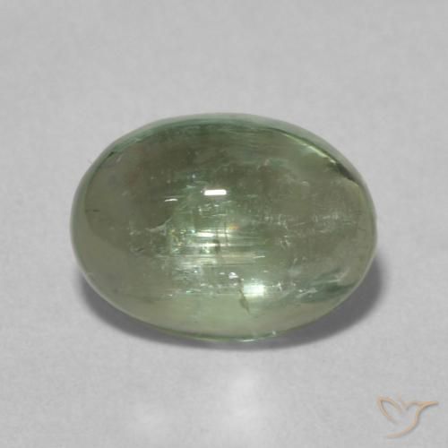 1.39ct طبيعي Medium Light-Green تورمالين, بيضوي, شفاف