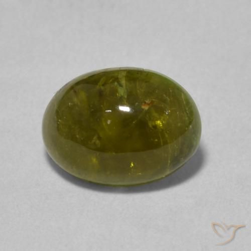 1.31ct طبيعي الأخضر الغامق تورمالين, بيضوي, شفاف