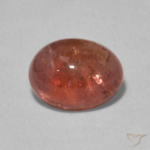 1.50ct طبيعي برتقالى محمر تورمالين, بيضوي, شفاف