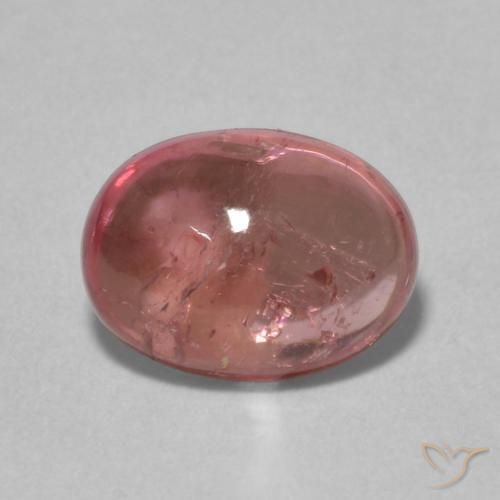 1.57ct طبيعي وردى داكن تورمالين, بيضوي, شفاف