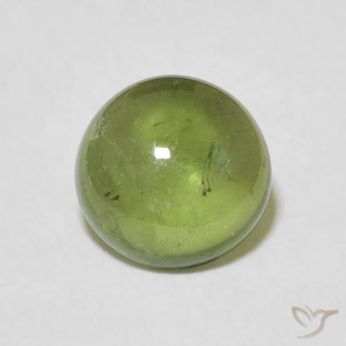 1.57ct طبيعي أخضر الغابة فاتح تورمالين, دائري, شفاف