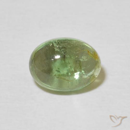 1.51ct طبيعي أخضر متوسط تورمالين, بيضوي, شفاف