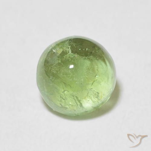 1.54ct طبيعي أخضر مصفر تورمالين, دائري, شفاف