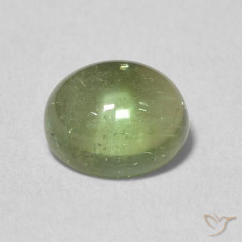 1.41ct طبيعي أخضر ترابى تورمالين, بيضوي, شفاف