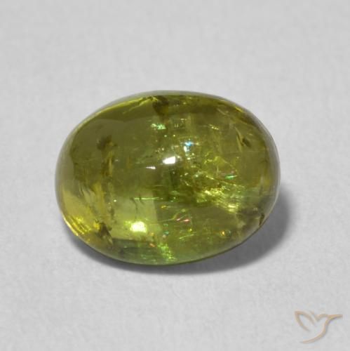1.42ct طبيعي أخضر دافئ تورمالين, بيضوي, شفاف