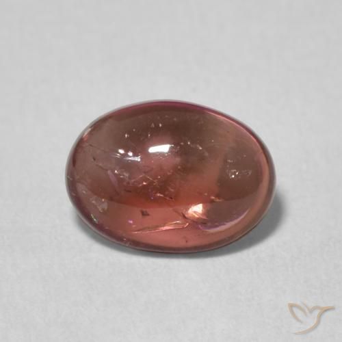1.27ct طبيعي أحمر برتقالي تورمالين, بيضوي, شفاف