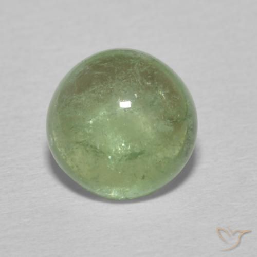 1.49ct طبيعي أخضر ترابى باهت تورمالين, دائري, شفاف