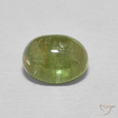 1.24ct طبيعي أخضر ترابى تورمالين, بيضوي, شفاف