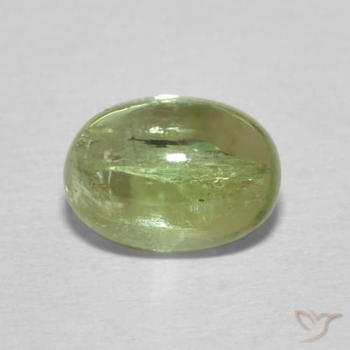 1.55ct طبيعي أخضر مصفر تورمالين, بيضوي, شفاف