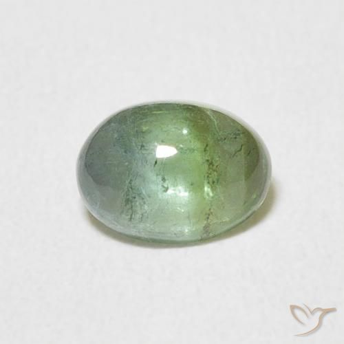 0.69ct طبيعي Medium Light Green تورمالين, بيضوي, شفاف