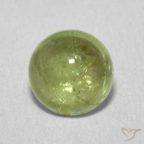 1.61ct طبيعي أخضر زيتوني تورمالين, دائري, شفاف