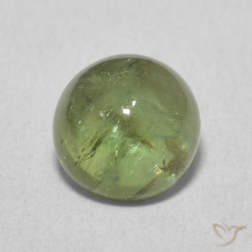 1.72ct طبيعي الأخضر الغامق تورمالين, دائري, شفاف