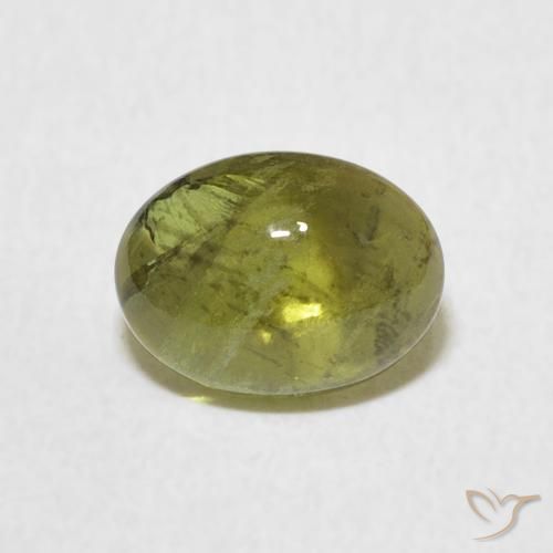 1.37ct طبيعي أخضر متوسط تورمالين, بيضوي, شفاف