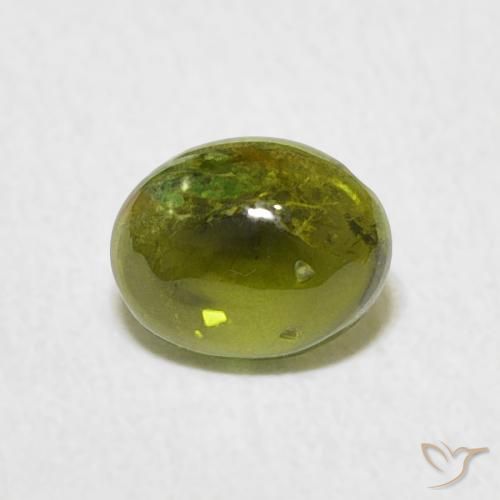 0.73ct طبيعي أخضر متوسط تورمالين, بيضوي, شفاف
