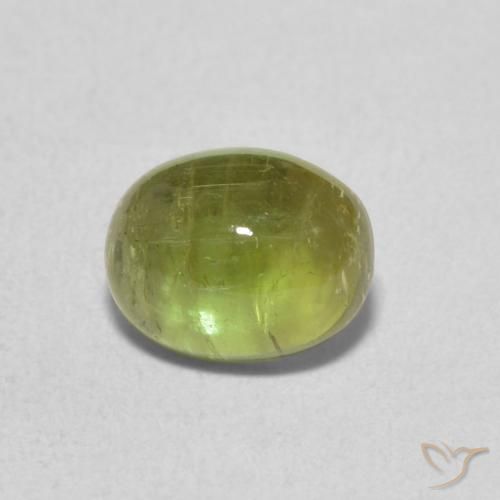 1.39ct طبيعي أخضر الغابة فاتح تورمالين, بيضوي, شفاف