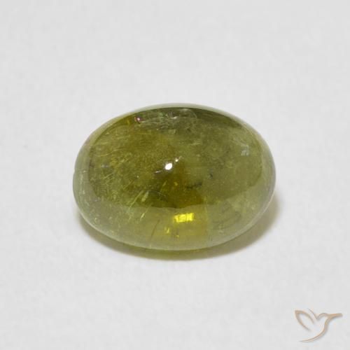1.29ct طبيعي أخضر متوسط تورمالين, بيضوي, شفاف
