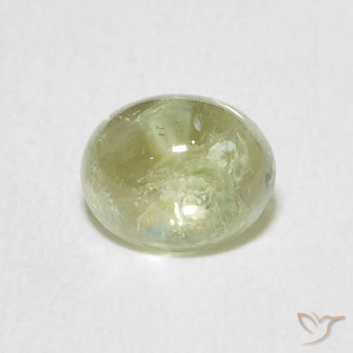 1.23ct طبيعي اخضر فاتح تورمالين, بيضوي, شفاف