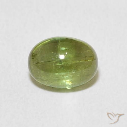 0.92ct طبيعي أخضر حيوي تورمالين, بيضوي, شفاف