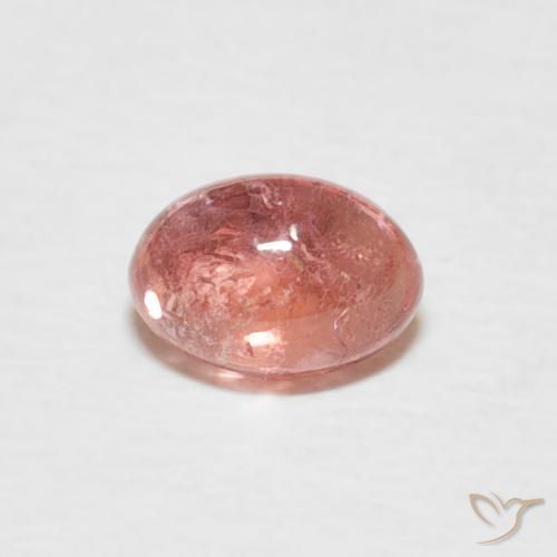 0.62ct طبيعي أحمر هندى تورمالين, بيضوي, شفاف