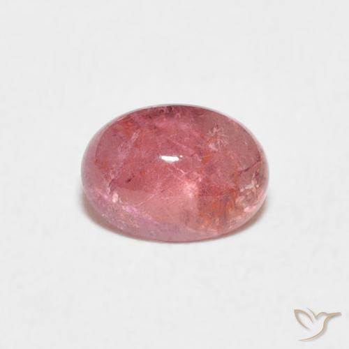0.73ct طبيعي وردي فاقع تورمالين, بيضوي, شفاف