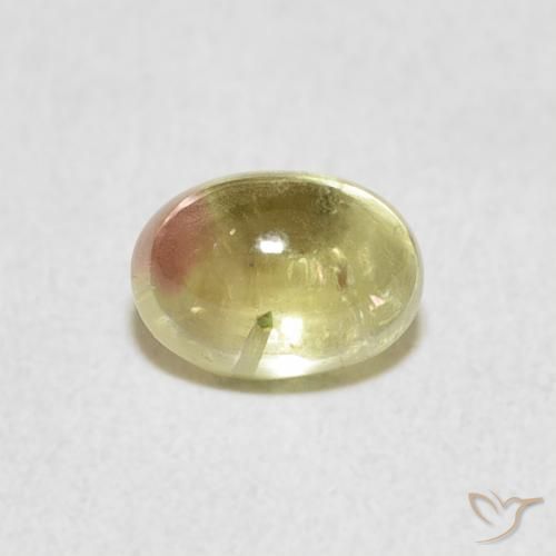 0.96ct طبيعي ثنائية اللون تورمالين, بيضوي, شفاف