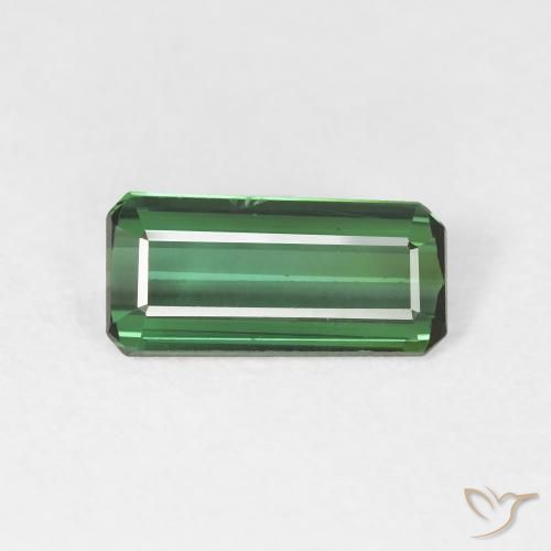 1.40ct طبيعي أخضر تورمالين, قص الزمرد, VVS-VS