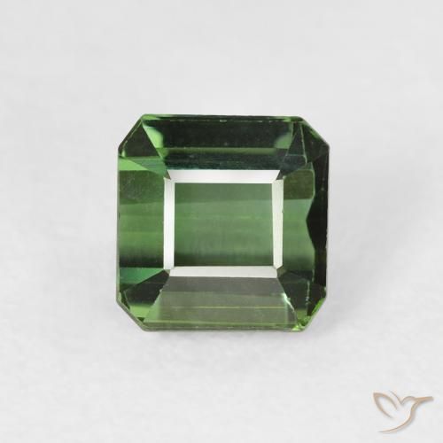 1.42ct طبيعي أخضر الغابات تورمالين, قص الزمرد, VVS