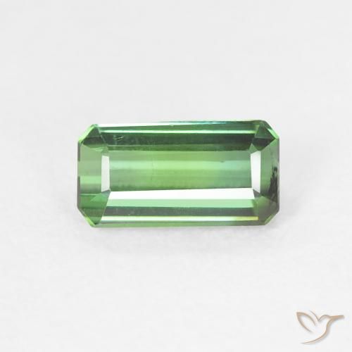 0.77ct طبيعي أخضر متوسط تورمالين, قص الزمرد, قليلا جدا