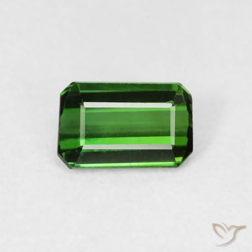 0.56ct طبيعي Medium Dark-Green تورمالين, قص الزمرد, VVS-VS