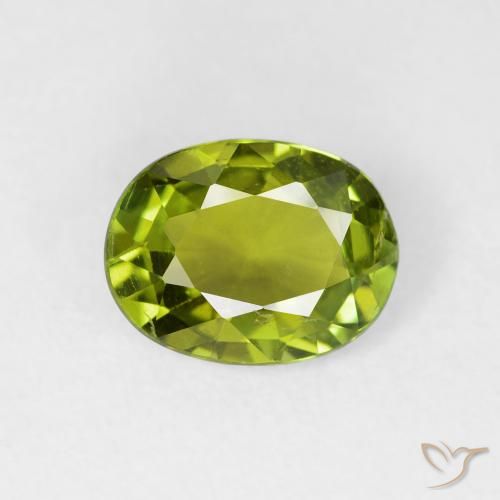 1.52ct طبيعي الأخضر الغامق تورمالين, بيضوي, قليلا جدا