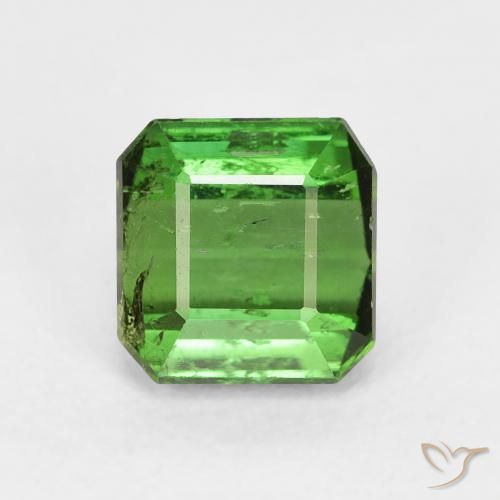 1.71ct طبيعي أخضر الغابات تورمالين, قص الزمرد, VS-SI