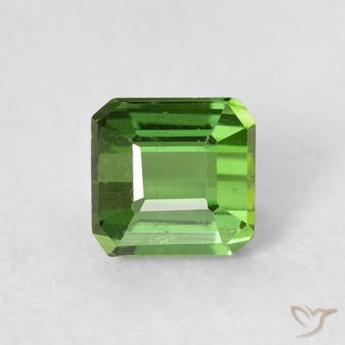 0.64ct طبيعي أخضر الغابات تورمالين, قص الزمرد, قليلا جدا