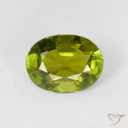 1.49ct طبيعي أخضر الغابة دافئ تورمالين, بيضوي, قليلا جدا