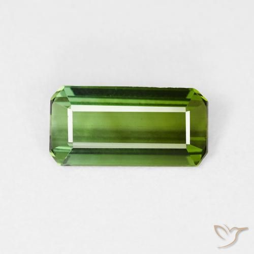 0.99ct طبيعي أخضر الغابات تورمالين, قص الزمرد, VVS-VS