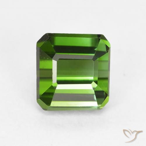 1.10ct طبيعي أخضر الغابات تورمالين, قص الزمرد, VVS