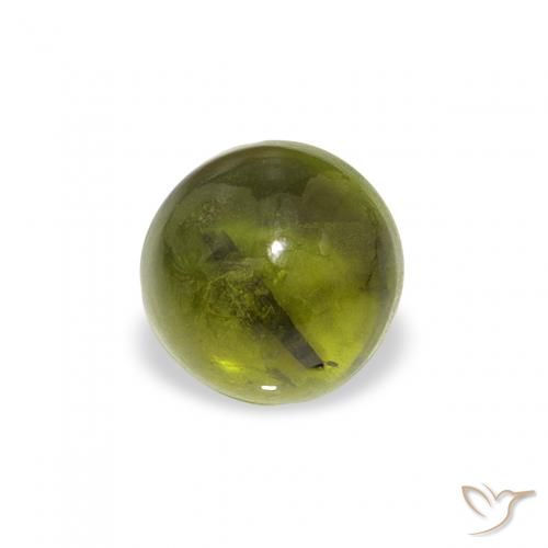 0.67ct طبيعي أخضر الغابات تورمالين, دائري, شفاف