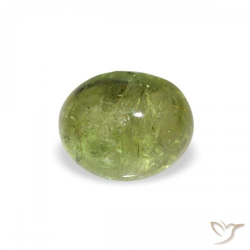 0.79ct طبيعي أخضر متوسط تورمالين, بيضوي, شفاف